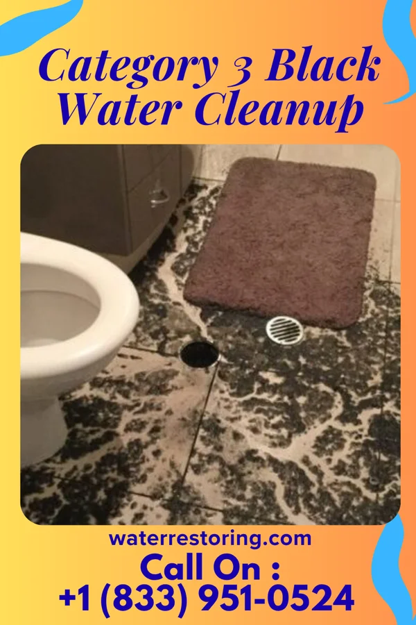 Category 3 Black Water Cleanup in South Hill, VA