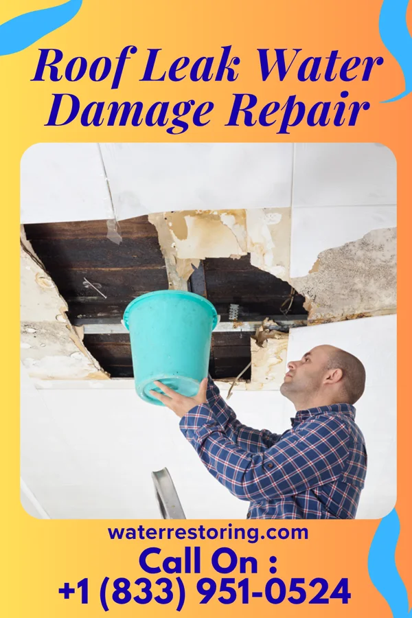 Roof Leak Water Damage Repair in South Hill, VA